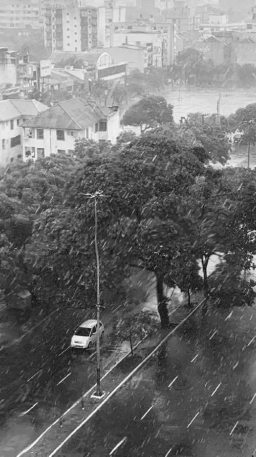 Rainy street with trees, buildings, and a car driving through water, in black and white.