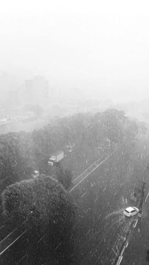 Heavy rain on a misty urban street with cars and trees, in black and white.