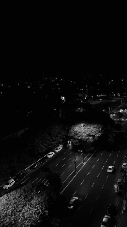 A nighttime city road with parked cars, trees, and distant lights, in black and white.